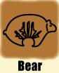 icon_bear