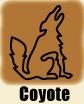 icon_coyote