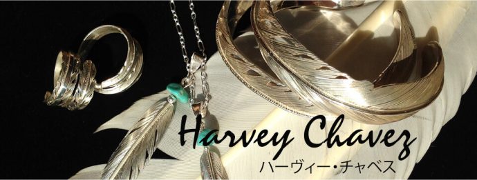 インディアンジュエリー買い付けの旅｜スタート | インディアンジュエリー専門店 PureDoll